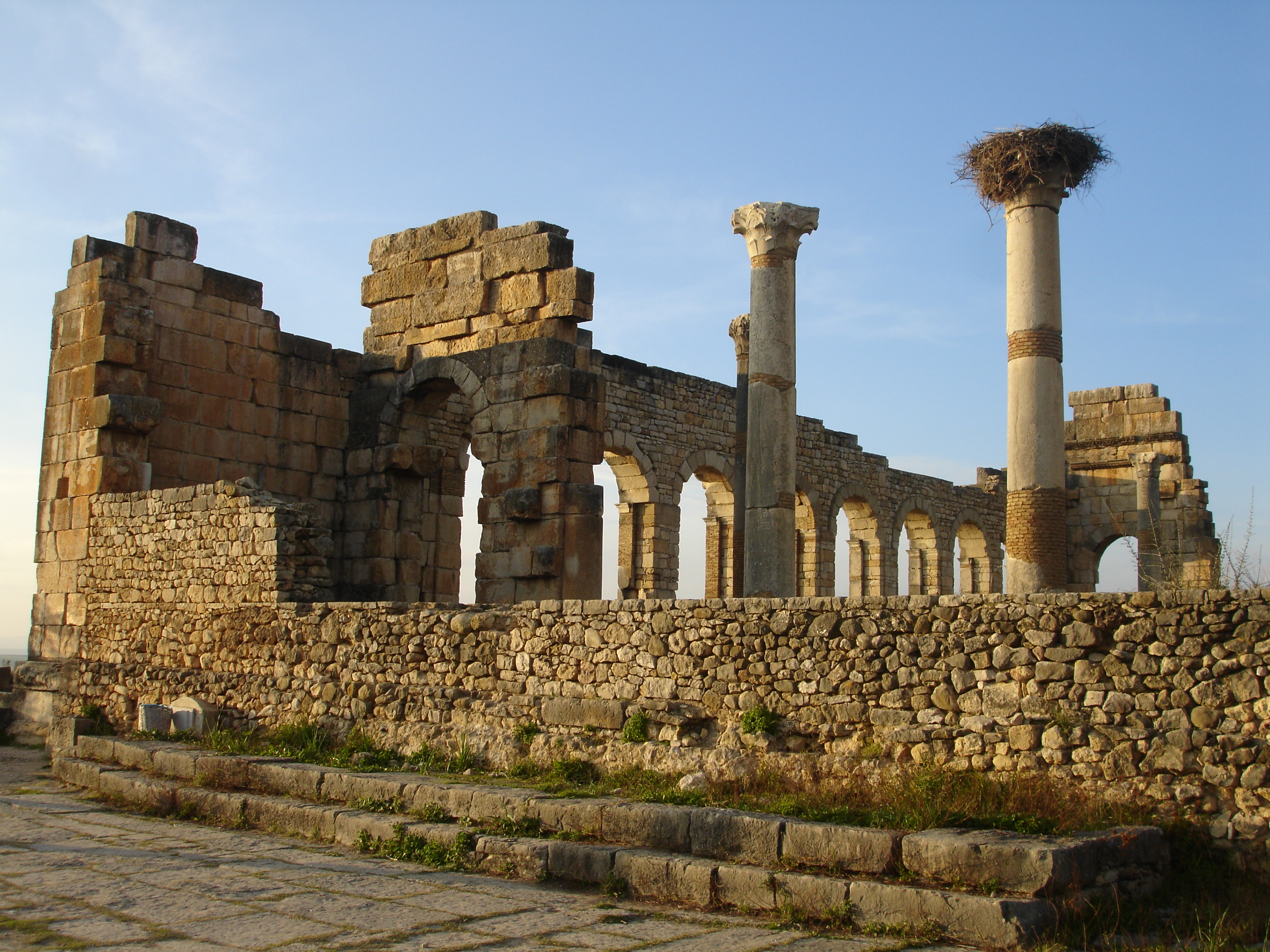 Säulen der Basilika von Volubilis mit Storchennest
